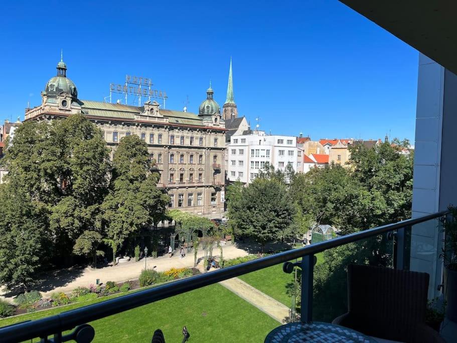 Pohled z balkonu apartmánu do korun stromů Šafaříkových sadů, v pozadí Hotel Continental